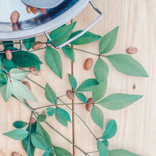 Load image into Gallery viewer, KITCHEN ACCESSORIES